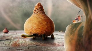 植物精灵 简体中文免安装版