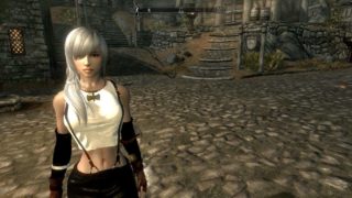 《上古卷轴5：天际》老滚5本体及各类MOD（包括实验室）