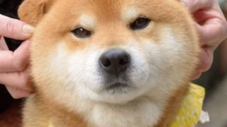 【PC】71款游戏合集压缩