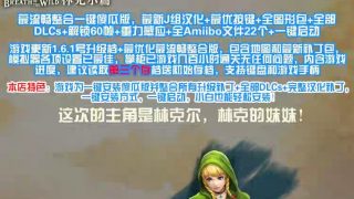 《塞尔达传说：旷野之息 The Legend of Zelda: Breath of the Wild》林克尔mod版