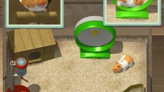 云仓鼠 なまはむ安卓版下载