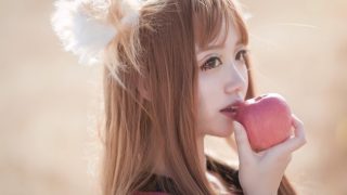 【狼与香辛料】---赫萝