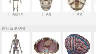 【安卓】Atlas人体解剖学图谱v2019.0.30