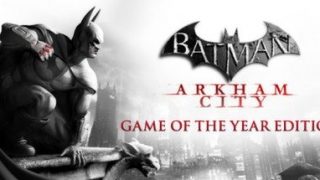 《蝙蝠侠：阿卡姆之城 Batman: Arkham City - Game of the Year Edition》中文版年度版