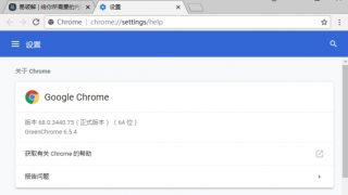 谷歌浏览器绿色版电脑版下载v74.0.3729.108