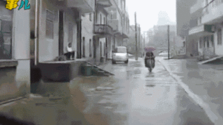 一组动图警示你：一手打伞一手骑车，害了自己坑苦司机