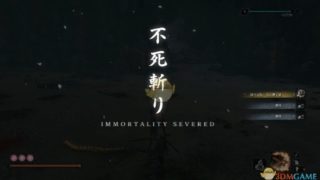 《只狼：影逝二度》双狮子猿打法教学