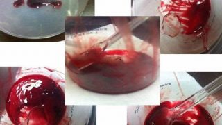 日本一个女孩分享了一个用自己经血制作的血色煎蛋