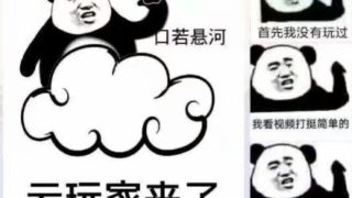 我也没有玩过，我是在B站打通关这个游戏的