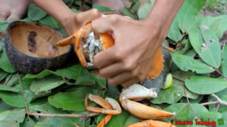 这吃播太硬核了！！！！