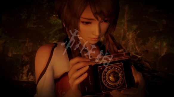 《零濡鸦之巫女》怨灵怎么看取？