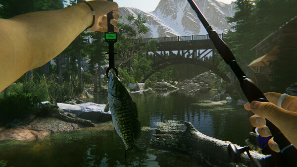 《终极钓鱼模拟器2 Ultimate Fishing Simulator 2》中文版百度云迅雷下载13061465
