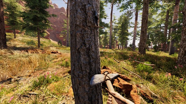 《狂野西部时代 Wild West Dynasty》中文版百度云迅雷下载v1.0.9129|容量8.89GB|官方简体中文|支持键盘.鼠标.手柄