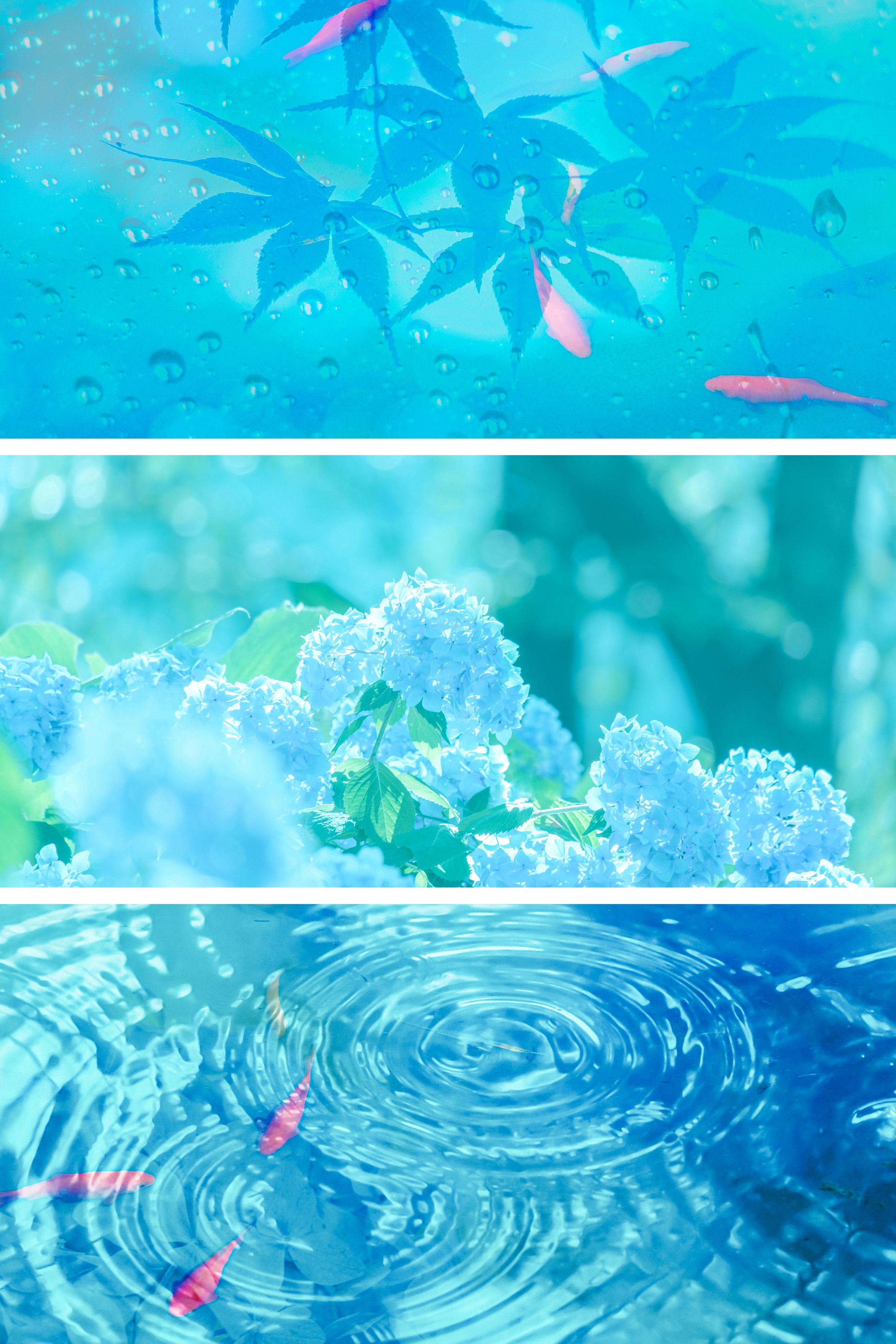 pixiv日推热搜美图628