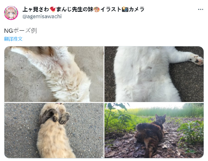 琦玉水上乐园“NG姿势”被画师模仿