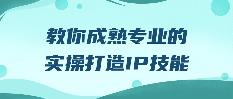 教你成熟专业的实操打造IP技能百度云夸克下载