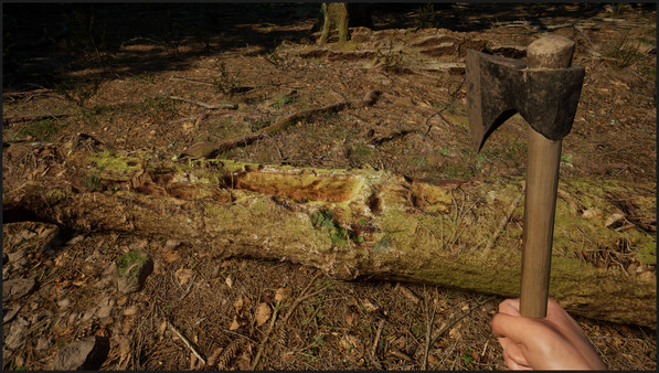 《常青：山区生活模拟器 Evergreen - Mountain Life Simulator》中文版百度云迅雷下载v1.1.2