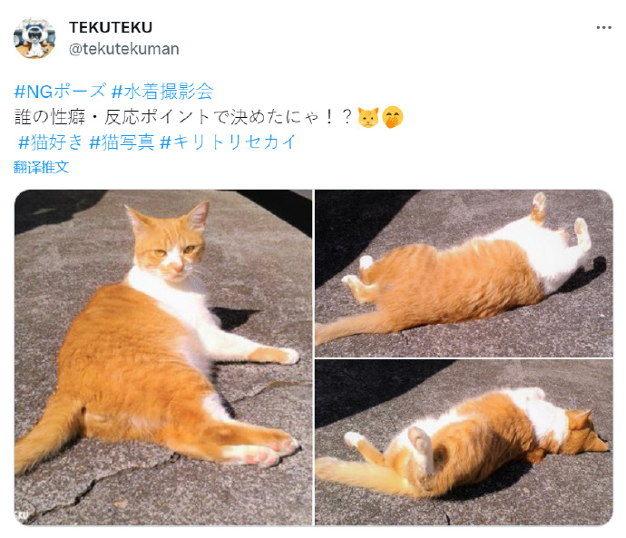 琦玉水上乐园“NG姿势”被画师模仿