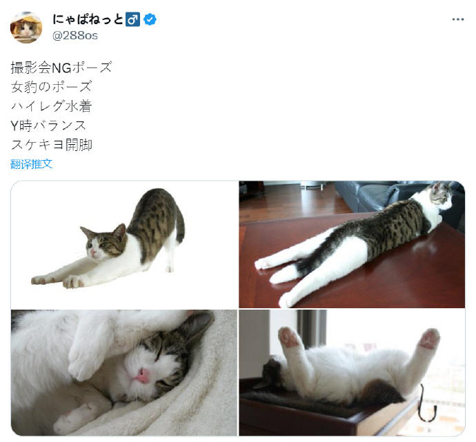 琦玉水上乐园“NG姿势”被画师模仿