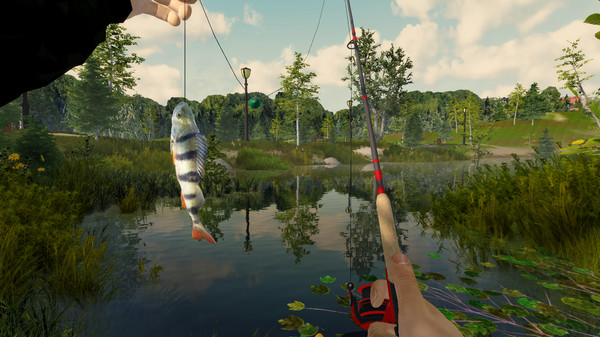 《钓鱼冒险 Fishing Adventure》中文版百度云迅雷下载整合芬兰储备金更新