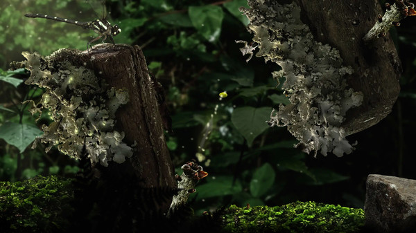 《幼苗 Seedlings》中文版百度云迅雷下载 《幼苗 Seedlings》中文版百度云迅雷下载