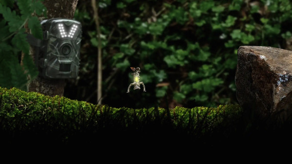 《幼苗 Seedlings》中文版百度云迅雷下载 《幼苗 Seedlings》中文版百度云迅雷下载