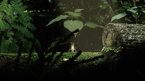 《幼苗 Seedlings》中文版百度云迅雷下载 《幼苗 Seedlings》中文版百度云迅雷下载