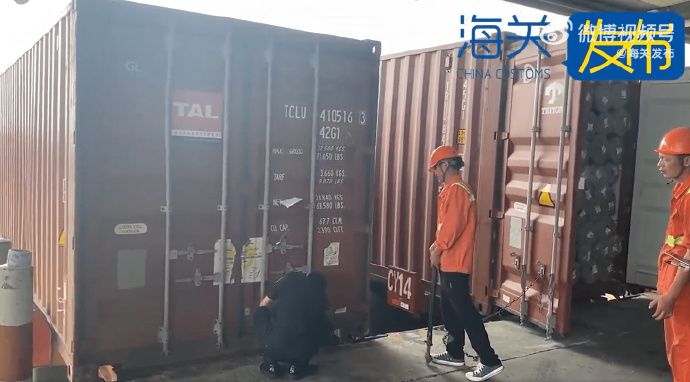 海关查获97万张侵权宝可梦卡牌