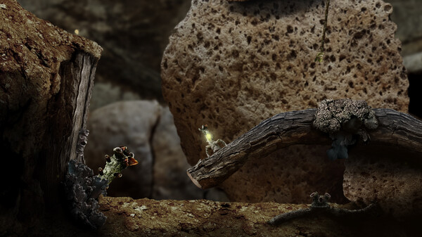 《幼苗 Seedlings》中文版百度云迅雷下载 《幼苗 Seedlings》中文版百度云迅雷下载