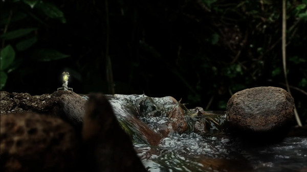 《幼苗 Seedlings》中文版百度云迅雷下载 《幼苗 Seedlings》中文版百度云迅雷下载