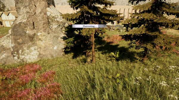 《Vosphia》英文版百度云迅雷下载