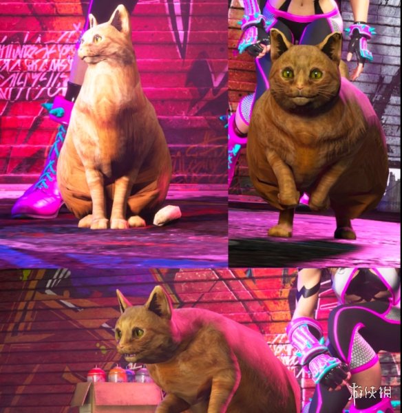《街头霸王6》嘉米大橘肥猫MOD电脑版下载