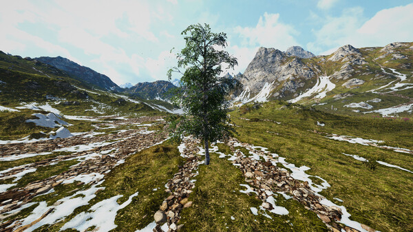 《桦树模拟器 Birch Simulator》英文版百度云迅雷下载 《桦树模拟器 Birch Simulator》英文版百度云迅雷下载